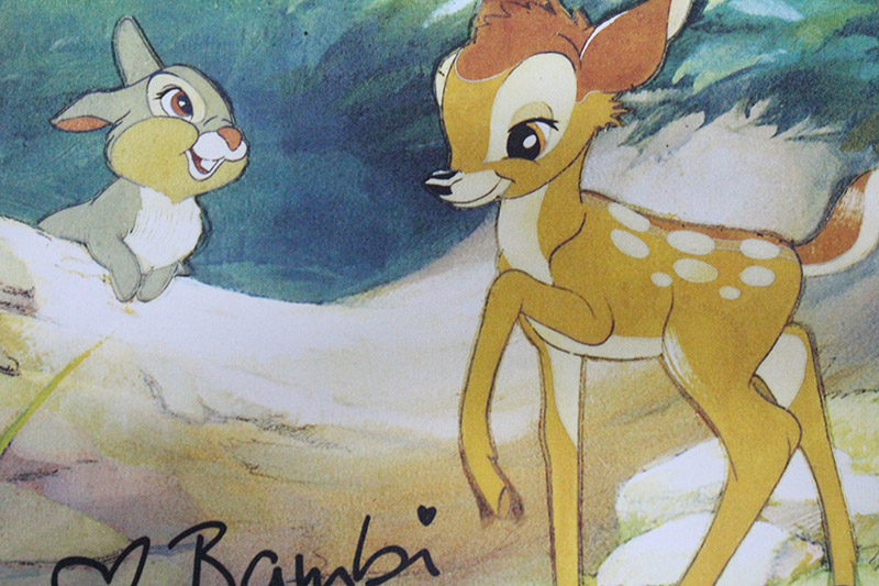 全棉帆布批布数码印花